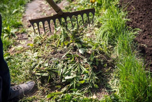 Garten aufräumen und Grünschnitt zusammenrechen – Tal Schnitt Wuppertal