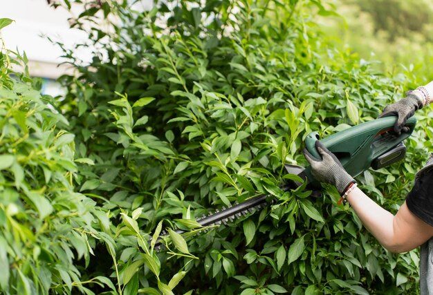 Heckenschnitt mit elektrischer Heckenschere – Tal Schnitt Wuppertal